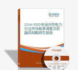 2014-2020年徐州市电力行业市场前景调查及投融资战略研究报告